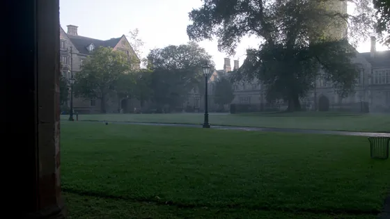 College and university sexual abuse claims